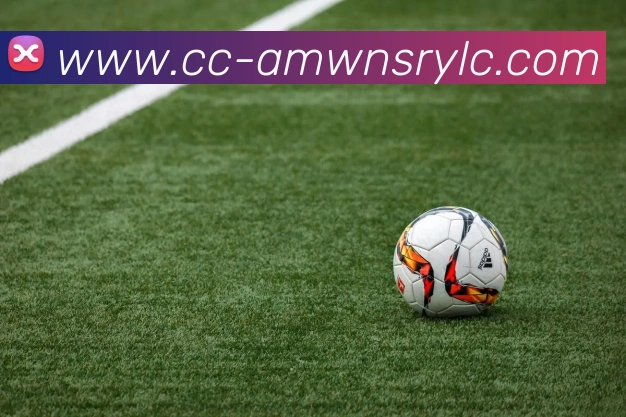 威尼斯人官网品牌故事