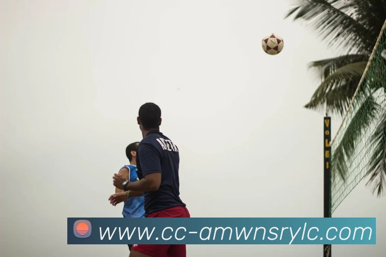 威尼斯人官网服务体系